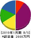 新日本企画 貸借対照表 2010年1月期