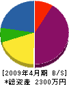 石田土木建設 貸借対照表 2009年4月期