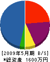 大山電機 貸借対照表 2009年5月期