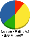 瀧川寺社建築 貸借対照表 2012年7月期