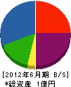 田中土木 貸借対照表 2012年6月期