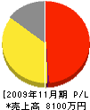 にしの 損益計算書 2009年11月期