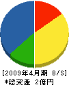 松本組 貸借対照表 2009年4月期