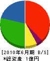江原工業 貸借対照表 2010年6月期