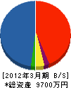 野田総業 貸借対照表 2012年3月期