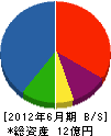 渋沢テクノ建設 貸借対照表 2012年6月期