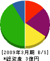 武田建設工業 貸借対照表 2009年3月期