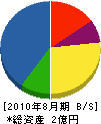 片山建設 貸借対照表 2010年8月期