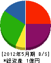 竹内商会 貸借対照表 2012年5月期