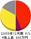 藤田板金工業 損益計算書 2009年12月期