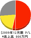 田中木工 損益計算書 2009年12月期
