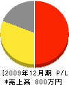 藤沢昭電社 損益計算書 2009年12月期