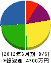 小田嶋設備工業 貸借対照表 2012年6月期