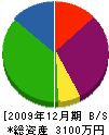 石川工業 貸借対照表 2009年12月期
