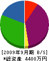 齋藤建設 貸借対照表 2009年9月期