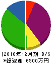 朝日興業企画 貸借対照表 2010年12月期