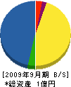 太恵土木 貸借対照表 2009年9月期