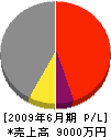 田中組 損益計算書 2009年6月期