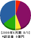 ハウジングプラス東京 貸借対照表 2008年6月期