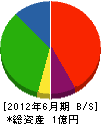 川添電気 貸借対照表 2012年6月期