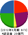 丸友開発 貸借対照表 2012年8月期