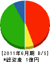 西川興業 貸借対照表 2011年6月期