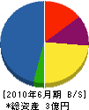 鷲尾組 貸借対照表 2010年6月期