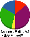 新日本化工 貸借対照表 2011年9月期