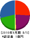 中沢実業 貸借対照表 2010年9月期