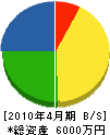 大島建設 貸借対照表 2010年4月期