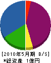 藤木電気工業 貸借対照表 2010年5月期