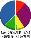 辻村設備 貸借対照表 2010年4月期