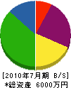 辻田造園建設 貸借対照表 2010年7月期