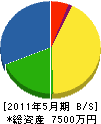 竹＊電設 貸借対照表 2011年5月期