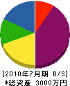 豊川電気工事 貸借対照表 2010年7月期