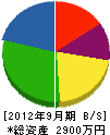 深江工業所 貸借対照表 2012年9月期