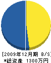 田中造園 貸借対照表 2009年12月期