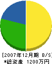 渡辺建築 貸借対照表 2007年12月期