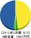 小野電気商会 貸借対照表 2012年3月期