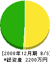 亀田電機商会 貸借対照表 2008年12月期