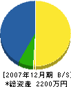 新栄塗装 貸借対照表 2007年12月期