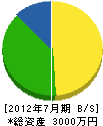 藤井組 貸借対照表 2012年7月期