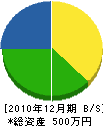 玉田塗装 貸借対照表 2010年12月期