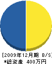 シノダ建工 貸借対照表 2009年12月期
