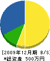 米内塗装 貸借対照表 2009年12月期