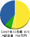 野上電気商会 貸借対照表 2007年12月期