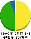 生川塗装店 貸借対照表 2007年12月期