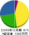 大沢造園 貸借対照表 2009年12月期