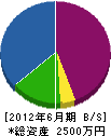 宮本綜合開発 貸借対照表 2012年6月期