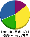 大濱建設 貸借対照表 2010年6月期